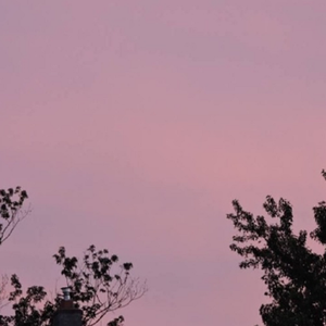 专干老熟女300部-
