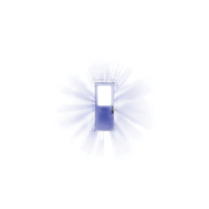 专干老熟女300部-
