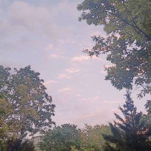 专干老熟女300部-
