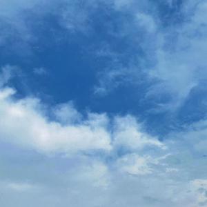 专干老熟女300部-
